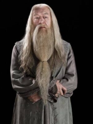 Dumbledore devrait-être un personnage majeur dans Les Animaux Fantastiques