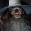 Ian McKellen ne sait toujours pas comment il a obtenu le rôle de Gandalf.